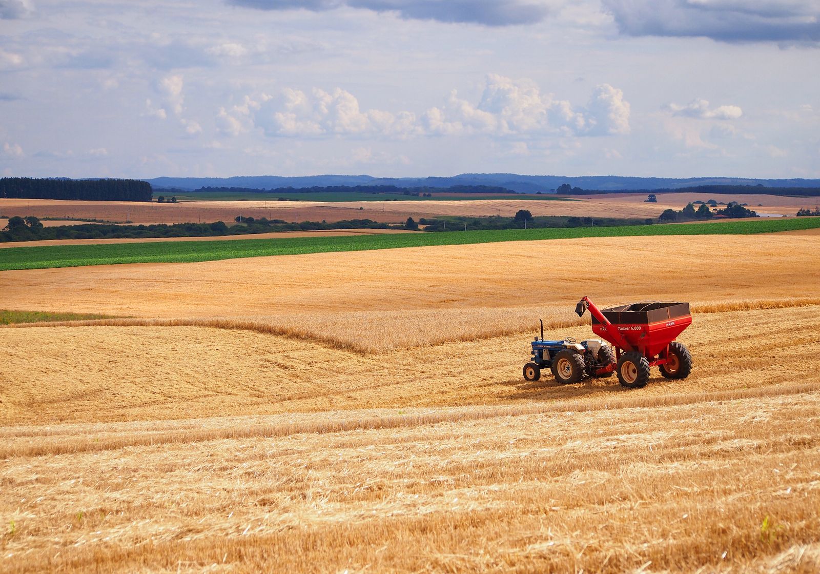 Agriculture